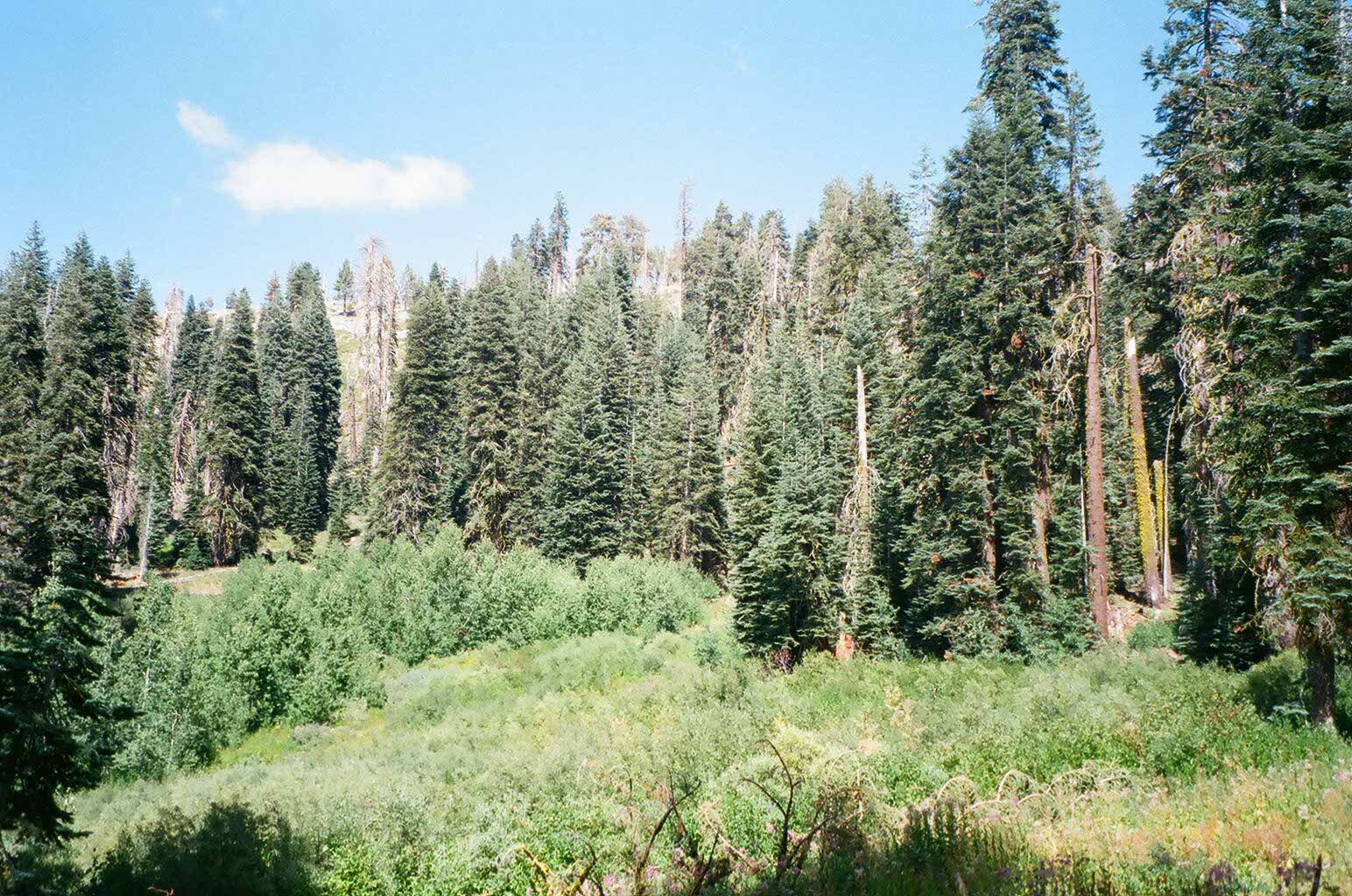 Photo 24