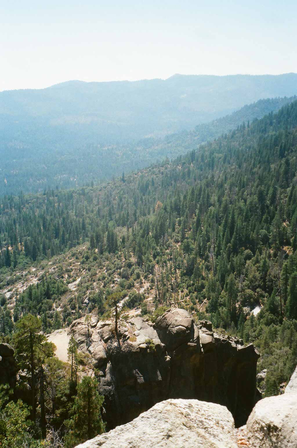 Photo 48