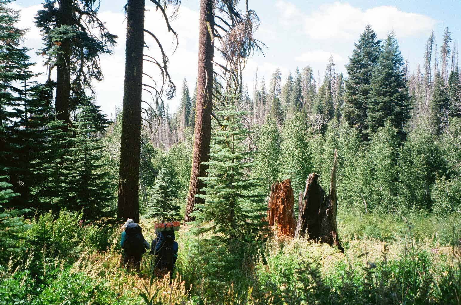 Photo 56