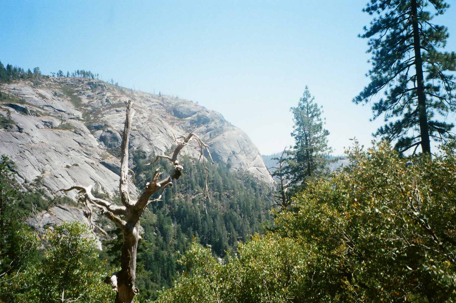 Photo 73